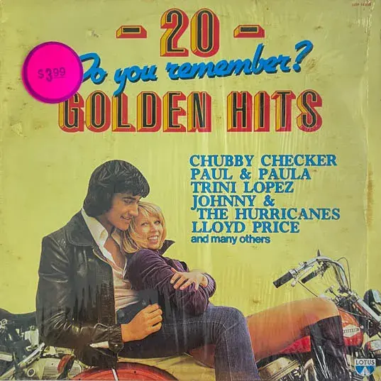 20 Golden Hits - Do You Remember Vinyl LP Record 33.3 rpm