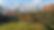 20210326_165451.jpg