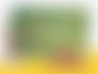 Why should you choose to buy cow dung dhoopbatti online?