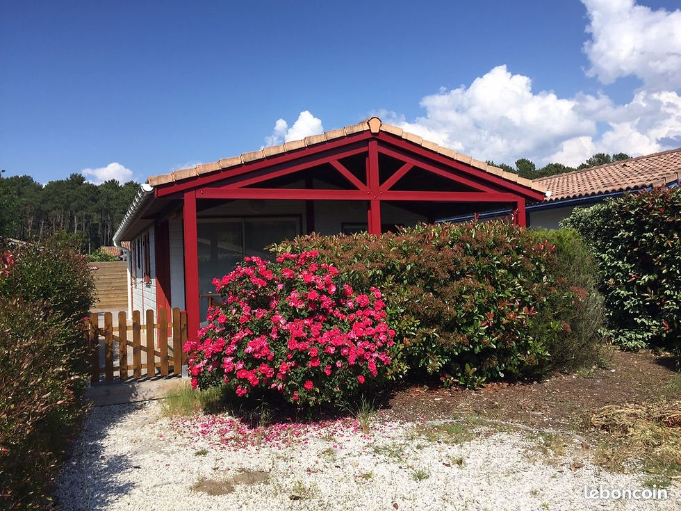 ecf09e8dcfd965a995cbba44f580977a6895dbe4