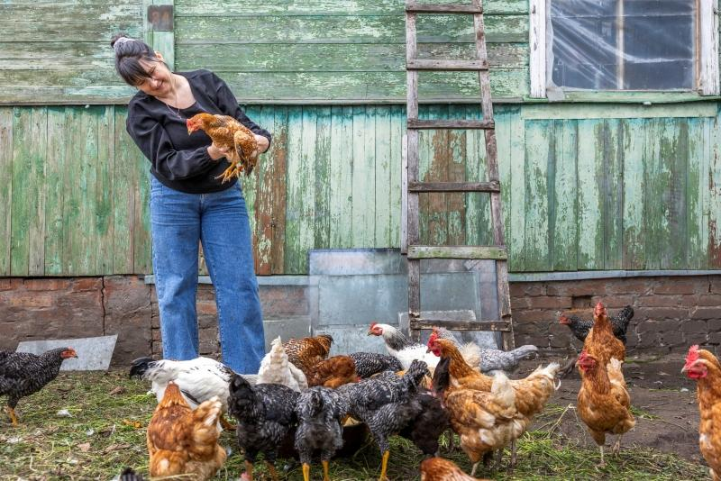 Від ідеї до масштабування: огляд грантів Mercy Corps для агробізнесу Сумщини