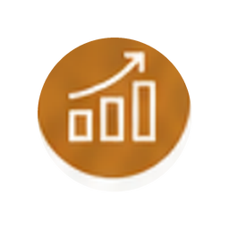 capability-pillar-icon-original.png