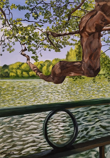 tableau d'un lac apaisant