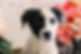 5BF415A3-74CC-4D44-8552-4B9290E651B1.jpg