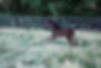 37BE5368-E002-49DA-A291-20AA8206DADC.jpg