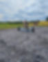 Screenshot_20240808_184122_Gallery.jpg