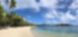 Long white beach rimmed with palm trees