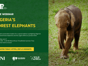 Webinaire Mondial sur les Éléphants de Forêt Menacés du Nigéria