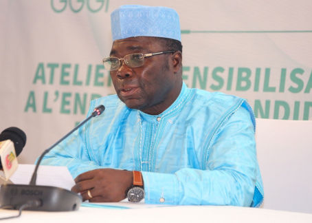 Togo Joins the Elephant Protection Initiative 