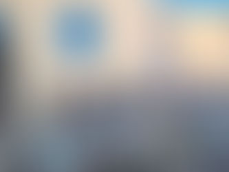 First Steps Towards Human-Elephant Coexistence in Babile Elephant Sanctuary