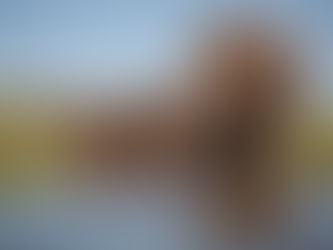 EPI Foundation and CAMPEA Partner to Drive Sustainable Finance for Conservation in Africa