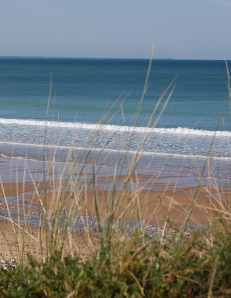 plages et dunes