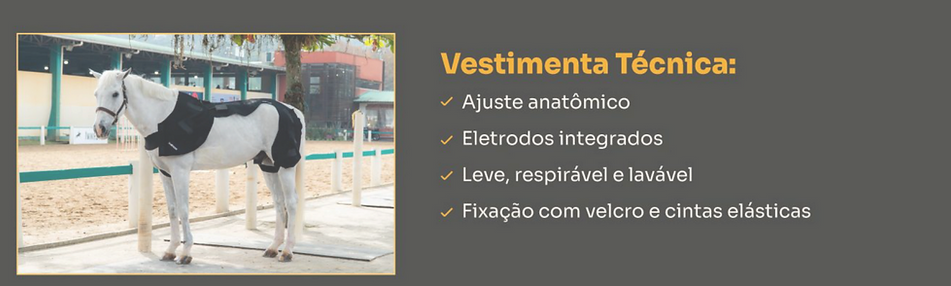 Screenshot 2025-09-04 at 16.00_edited.pn