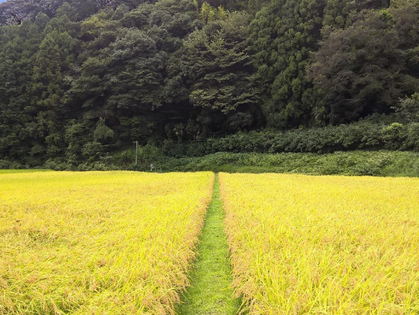 Arimitsu Sake Brewery