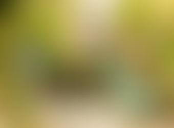 Discover the Joy of Local Art Events