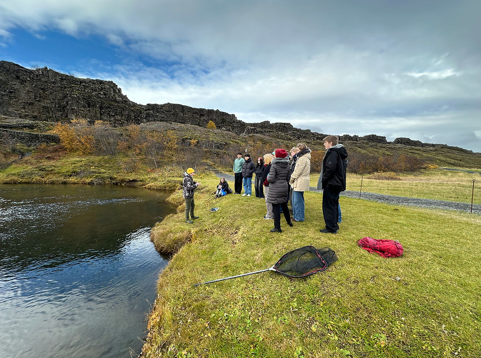 3_Vatnaverur Islands_icelandic aquatic animals_kalda_johannes sturlaugsson_thingvallaurrid