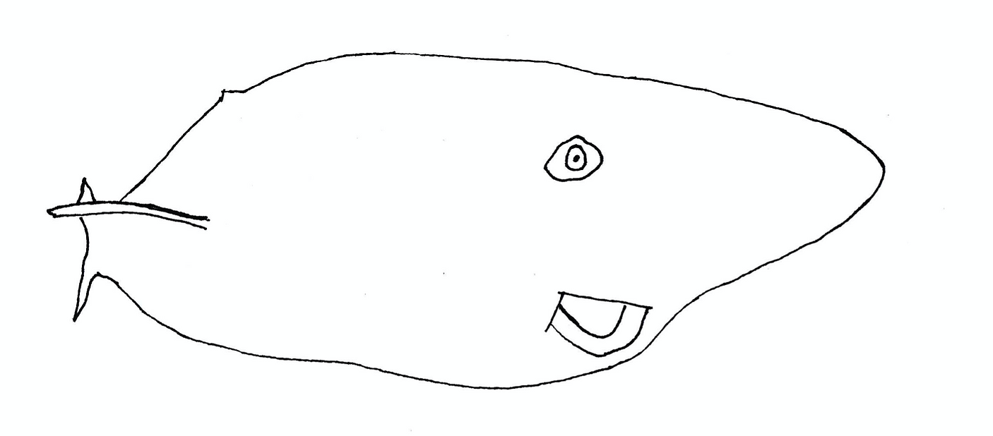 Hákarl_The Greenland shark (Somniosus microcephalus)_.png