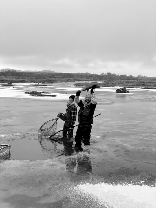 Dalrun Kaldakvisl_kalda_animal historian_Johannes Sturlaugsson_vatnaverur islands_sharkiceland_salmon_greenland shark_conservation.png