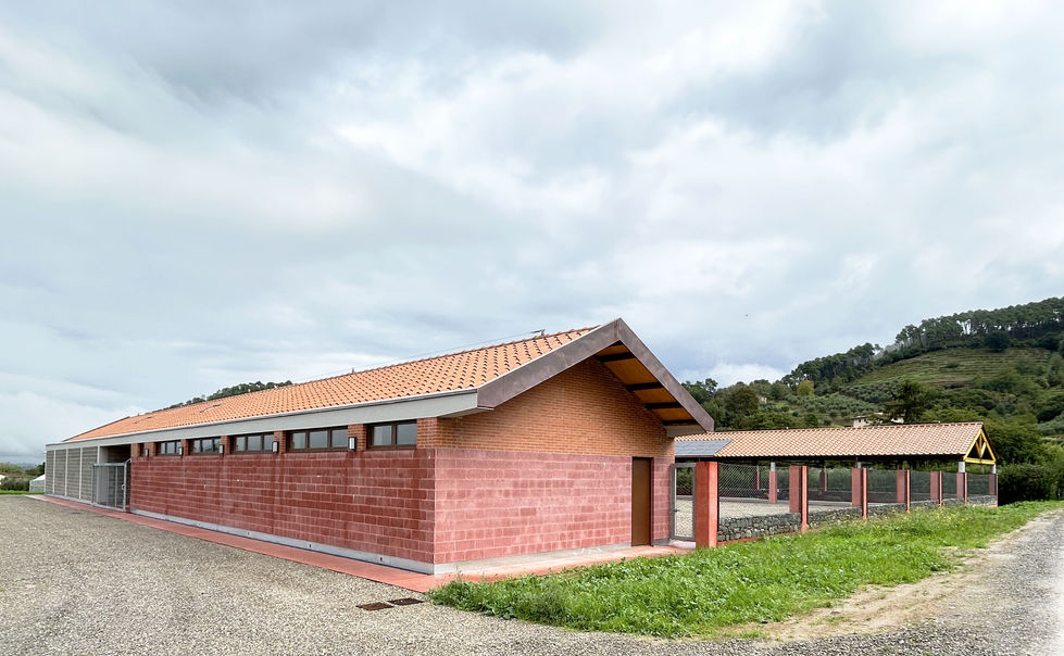 edificio per la vendita e la conservazione dei prodotti della tenuta agricola