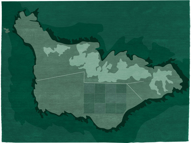 -LABZONA-design-tappeto-autore-mano-edizione-limitata-pezzi-uniciStroma-S-mod