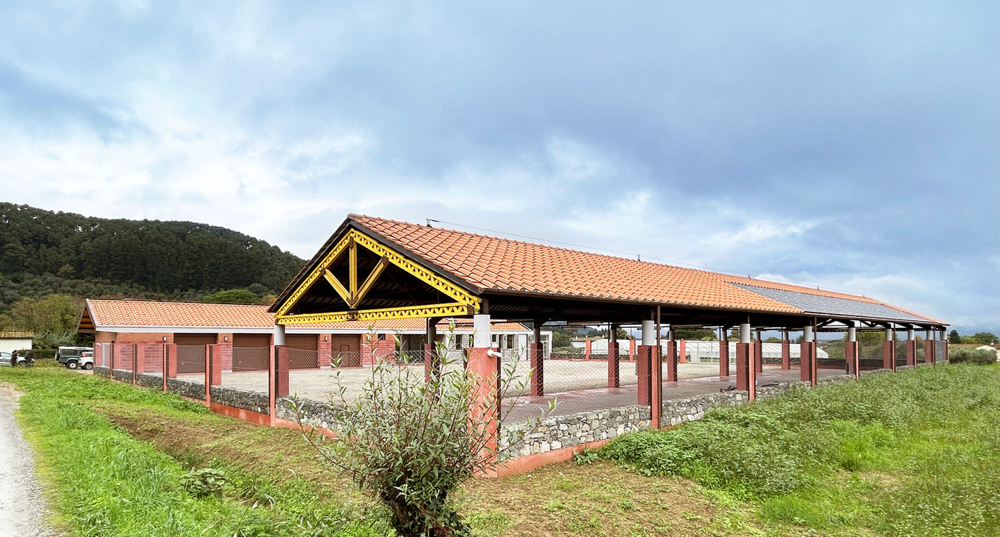 edificio per la vendita e la conservazione dei prodotti della tenuta agricola