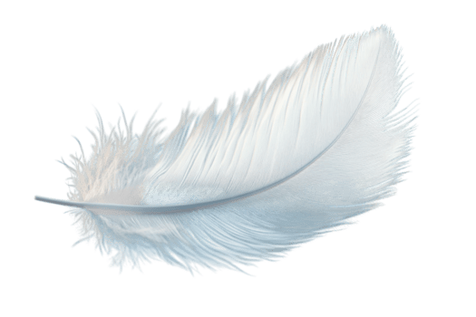 feather.png