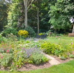 garden with flowers and trees