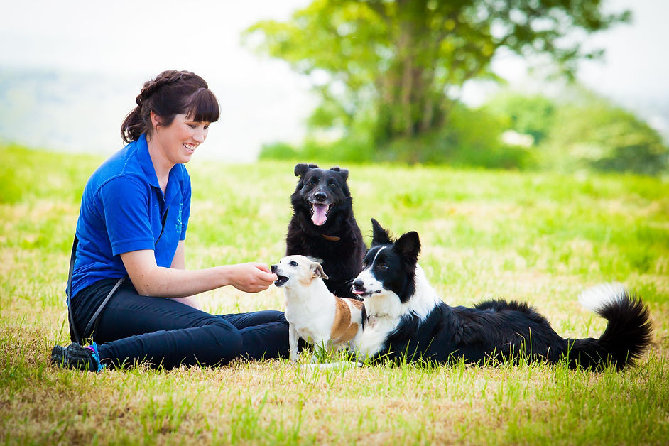 interacting with three happy dogs. The scene conveys joy and a sense of companionship.