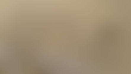 Pole Sport oder Community