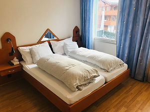IMG_5401.jpeg