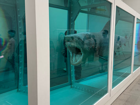 MMCA「Damien Hirst: Nothing Is True But Everything Is Possible」から考える日韓博物館の比較②
