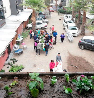 jARDINERA 2.jpg