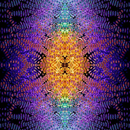 Qi Dynamics in Nature: The Seasons (時)