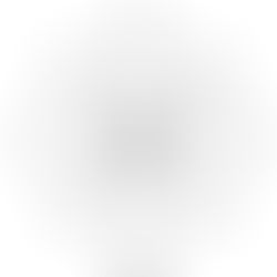 Qi Dynamics in Medicine: The 5 Phases (五行) and 5 Zang "Organs" (五臟)