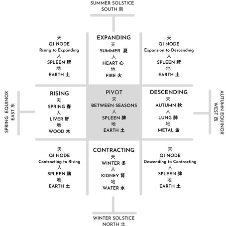 Qi Dynamics in Medicine: The 5 Phases (五行) and 5 Zang "Organs" (五臟)