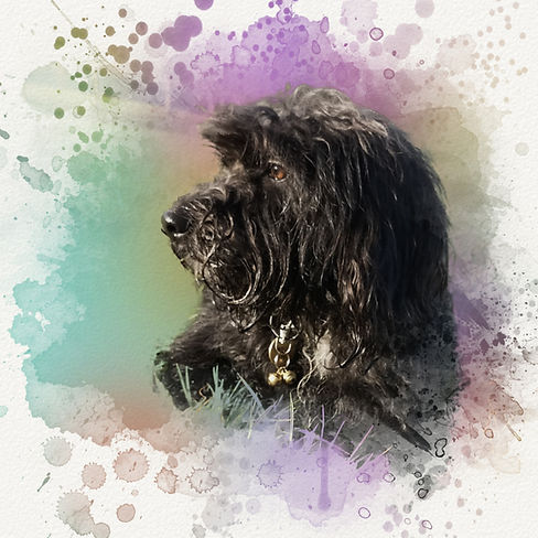 Business picture.jpg