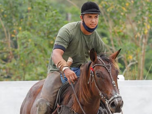 Vaqueiro e cavalo morrem após choque elétrico em caminhão
