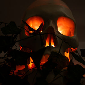 Skull Garden I