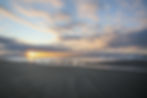 Beach bird sunrise 10-11-19-3.jpg