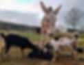 20211205_070754.jpg