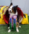 20220320_153356.jpg