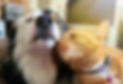 20220507_170259 1_edited_edited_edited.jpg