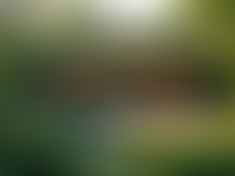 Innovative Architectural Designs for Modern Living Spaces