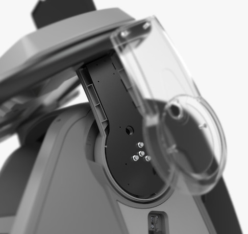 Xl body.jpg