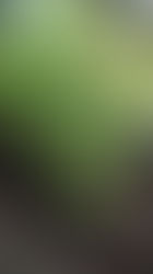 Compost Tea vs Extract: Biofertilizers & Living Soil Explained