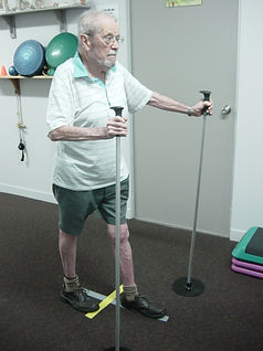 exercise rehabilitation, fitness classes, falls prevention