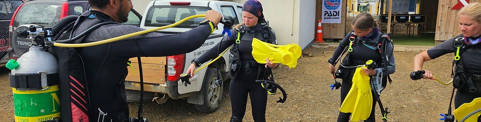 diver doing predive check yellow fins instructor and student