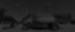 Genie ZX139_70 BW2 NB.jpg