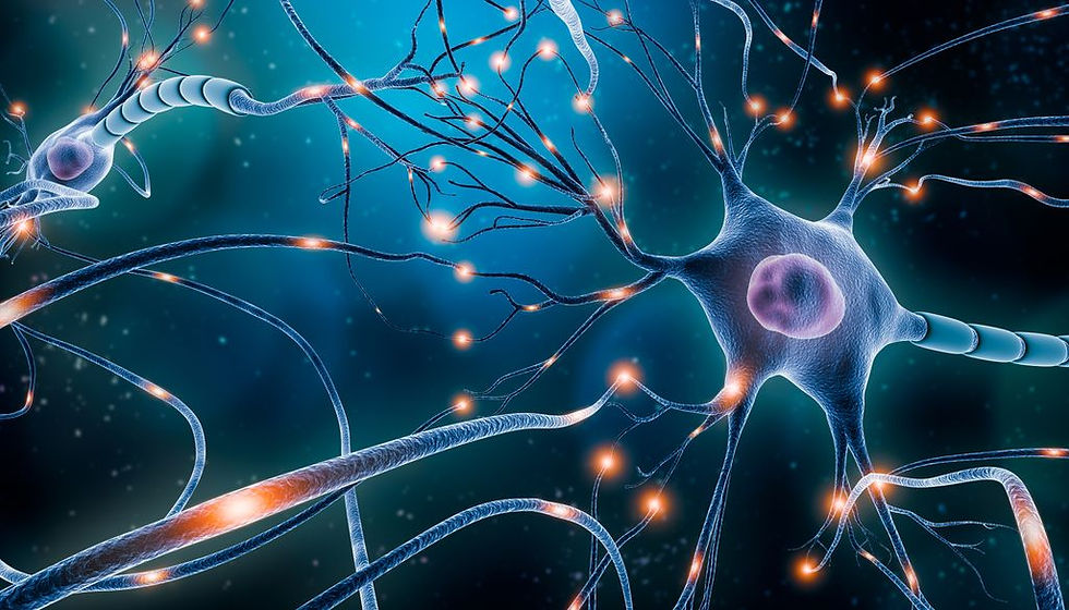 How Demyelination in MS Impacts the Body