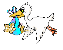 cigogne_025.jpg